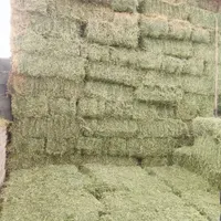 فروش کاه سبز(یونجه)|حیوانات مزرعه|بهبهان, |دیوار
