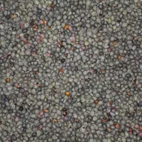 بنه کوهی و کسور کوهی(کلخونگ) عمده  فقط تماس|خوردنی و آشامیدنی|شیراز, باغ تخت|دیوار