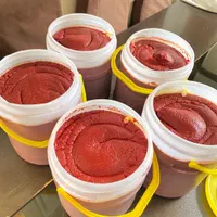 رب گوجه|خوردنی و آشامیدنی|اصفهان, مولوی|دیوار