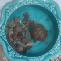 واگذاری...