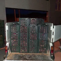 حمل بار و اساس کشی و وانت تلفنی و پیکان وانت|خدمات حمل و نقل|اهر, |دیوار