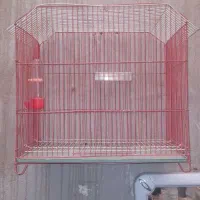 قفس پرنده