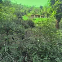 ویلا سوئیت اجاره ای|اجارهٔ کوتاهمدت ویلا و باغ|تالش, هشتپر|دیوار