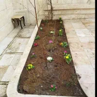 تمامی کار های باغبانی و سم پاشی مشهد و اطراف مشهد|خدمات باغبانی و درختکاری|مشهد, وکیل‌آباد|دیوار