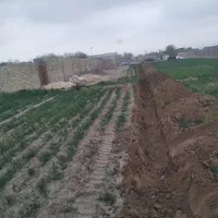 اجاره بیل میکانیکی بیل بکهو بیل بکو|خدمات حمل و نقل|مشهد, طلاب|دیوار