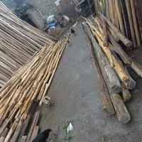 نردبان دسته بیل و پرچم و چوب آتشی چوب سفقی|عمده‌فروشی|مشهد, نوید (بلوار کشاورز)|دیوار