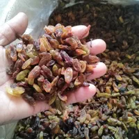 کشمش فله آفتابی محلی|خوردنی و آشامیدنی|شاهرود, |دیوار