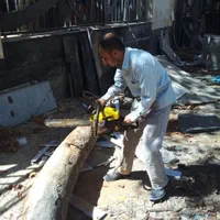 قطع و هرس درخت خشک و برش درخت خشک