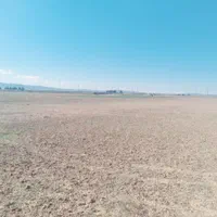 ده هزار مترمربع زمین کشاورزی باغی|فروش دفتر صنعتی، کشاورزی، تجاری|صباشهر, |دیوار