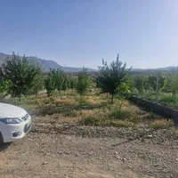 فروش باغ ۶۰۰ متری در فولادمحله بعد شهمیرزاد سمنان|فروش زمین و ملک کلنگی|سمنان, |دیوار