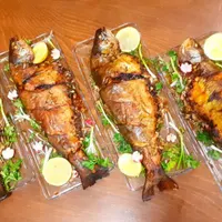 غذای خانگی(غذا فینگرفود دسر فست فود) با  کیفیت|خوردنی و آشامیدنی|مشهد, امامیه|دیوار