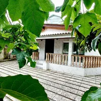 خانه ویلایی جنگلی /سندو پایان کار/بالادست/اقساطی|فروش خانه و ویلا|نور, |دیوار