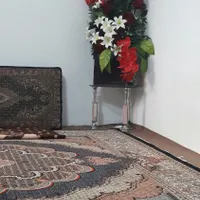 گل مصنوعی سالم شیک|گل مصنوعی|ارومیه, |دیوار
