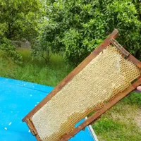 انواع عسل طبیعی ب شرط آزمایشگاه مستقیم اززنبوردار|عمده‌فروشی|شیراز, عادل آباد|دیوار