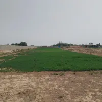 ۳۰۰۰ متر زمین زراعی|فروش زمین و ملک کلنگی|شاهین‌شهر, گرگاب|دیوار