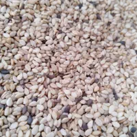 پخش کنجد ارده،روغن کنجد،روغن ارده،ارده،روغن زیتون|عمده‌فروشی|تهران, استاد معین|دیوار