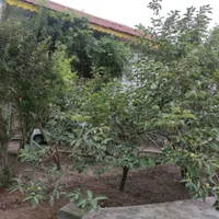 فروش زمین ۶۰۰ متری در عظیمیه
