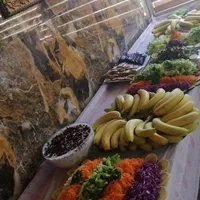 تور زیارتی کربلا قسطی و حرکت فوری