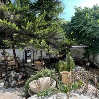 پاسداران/هروی1600مترمشارکت زمین کلنگی خریدنقد