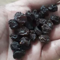 انواع آلو، قیسی، برگه، کشمش، گردو و مویز قیمت عمده|خوردنی و آشامیدنی|کرج, شهرک فهمیده|دیوار