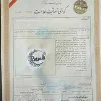 ثبت برند ثبت و تغییرات شرکت