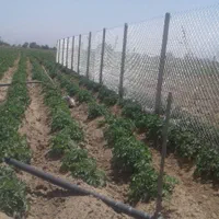 فنس . اجرای فنس کشی مهندسی.|خدمات باغبانی و درختکاری|همدان, |دیوار