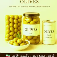 فروش عمده زیتون و روغن زیتون|خوردنی و آشامیدنی|رشت, نخودچر|دیوار