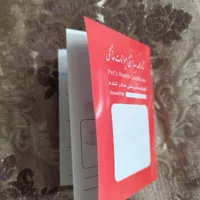 فروش گربه ناز ،مهربون وبانمک|گربه|اصفهان, مرداویج|دیوار