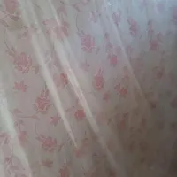 کمپلوشمالی