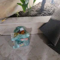 شرکت خدمات نظافت آسایش آوران*سمپاشی