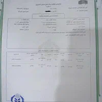 عسل کنار طبیعی|خوردنی و آشامیدنی|شیراز, فرگاز|دیوار
