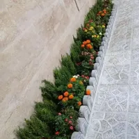خدمات باغبانی‌و‌باغبان‌سیار‌به‌تمام‌نقاط‌تهران|خدمات باغبانی و درختکاری|تهران, سعادت‌آباد|دیوار
