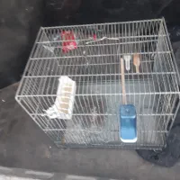 قفس سایز3سهره