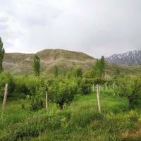 فرصتی استثنایی برای آرامش در قلب طبیعت|فروش زمین و ملک کلنگی|ارجمند, |دیوار