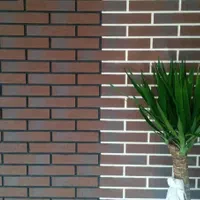 ملات آماده پودر بندکشی آجرنما‌ چسب ردمکس فلکسFelex|مصالح و تجهیزات ساختمان|تهران, طرشت|دیوار