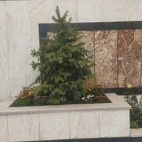 باغبانی سم پاشی سوسک ساس گلکاری هرس تعویض گلدان|خدمات باغبانی و درختکاری|تهران, تجریش|دیوار