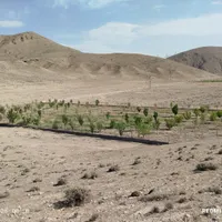 فروش باغ سنددار درنمرودمعاوضه باآپارتمان و خودرو.|فروش دفتر صنعتی، کشاورزی، تجاری|فیروزکوه, |دیوار