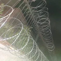 سیم خاردار خطی حلقوی تبری سوزنی نصب سیمخاردار|عمده‌فروشی|کرج, کمال‌شهر|دیوار