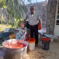 آبگیری گوجه فرنگی به صورت سیار|خوردنی و آشامیدنی|مشهد, قائم|دیوار
