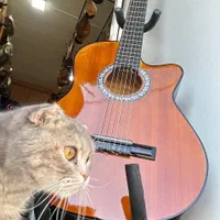 گیتار اقتصادی و ا c40 c70|گیتار، بیس، امپلیفایر|کرج, مهرویلا جنوبی|دیوار