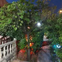 ویلا دوخواب وتکخوابه باپارکینگ باغ رضوان مهدیشهر|اجارهٔ کوتاه‌مدت آپارتمان و سوئیت|سمنان, |دیوار