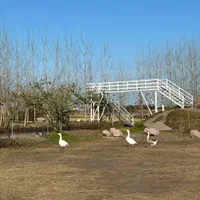 تاپ ویلا/فول فرنیش/ با خدمات پس از فروش|فروش خانه و ویلا|تهران, سعیدآباد|دیوار