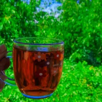 باغ نوبهار|فروش خانه و ویلا|گلبهار, |دیوار