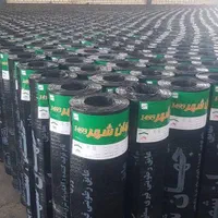 نصب و اجرا ایزوگام شیب بندی،پلاستر 30%تخفیف|خدمات پیشه و مهارت|اصفهان, سروستان|دیوار