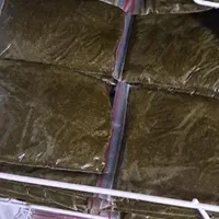 قرمه سبزی قورمه سرخ شده با سبزیجات معطر گیلان|عمده‌فروشی|تهران, جنت‌آباد مرکزی|دیوار