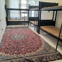 خوابگاه دخترانه|اجارهٔ کوتاه‌مدت آپارتمان و سوئیت|مشهد, فارغ التحصیلان|دیوار