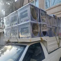 دنبال تنورگازی خوب میگردی بیا طباطبائی۱۶|اجاق گاز و لوازم برقی پخت‌وپز|مشهد, وحید|دیوار