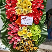 گلکده نرگس تاج گل|گل و گیاه طبیعی|تهران, بازار|دیوار