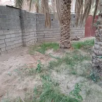 استا بنا دیوار چین هستم