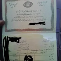 ۲عدد شناسنامه خودم وپسرم به اسم علی ومهراد سورمی